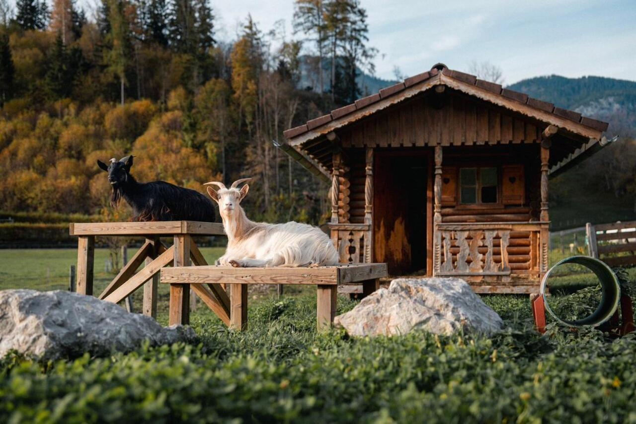 Pension Glitschnerhof Aigen im Ennstal Exterior foto